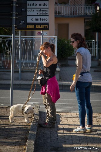 PRIMA LEZIONE PER I NOSTRI CUCCIOLI